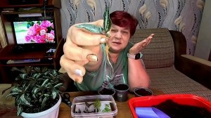 Только так вы получите 💯 результат!!