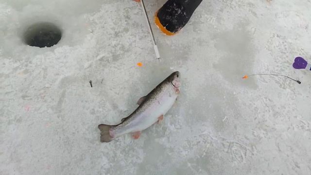 Поставушка