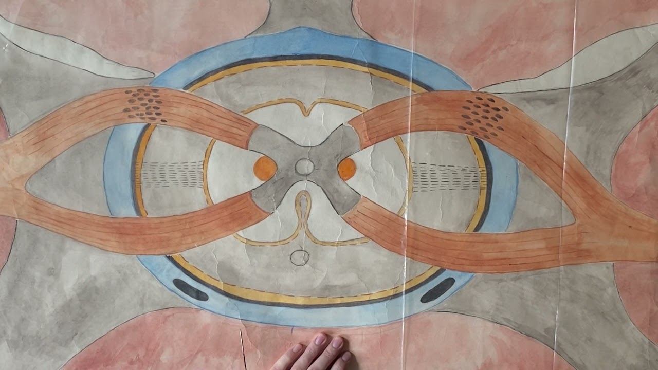 Строение спинного мозга