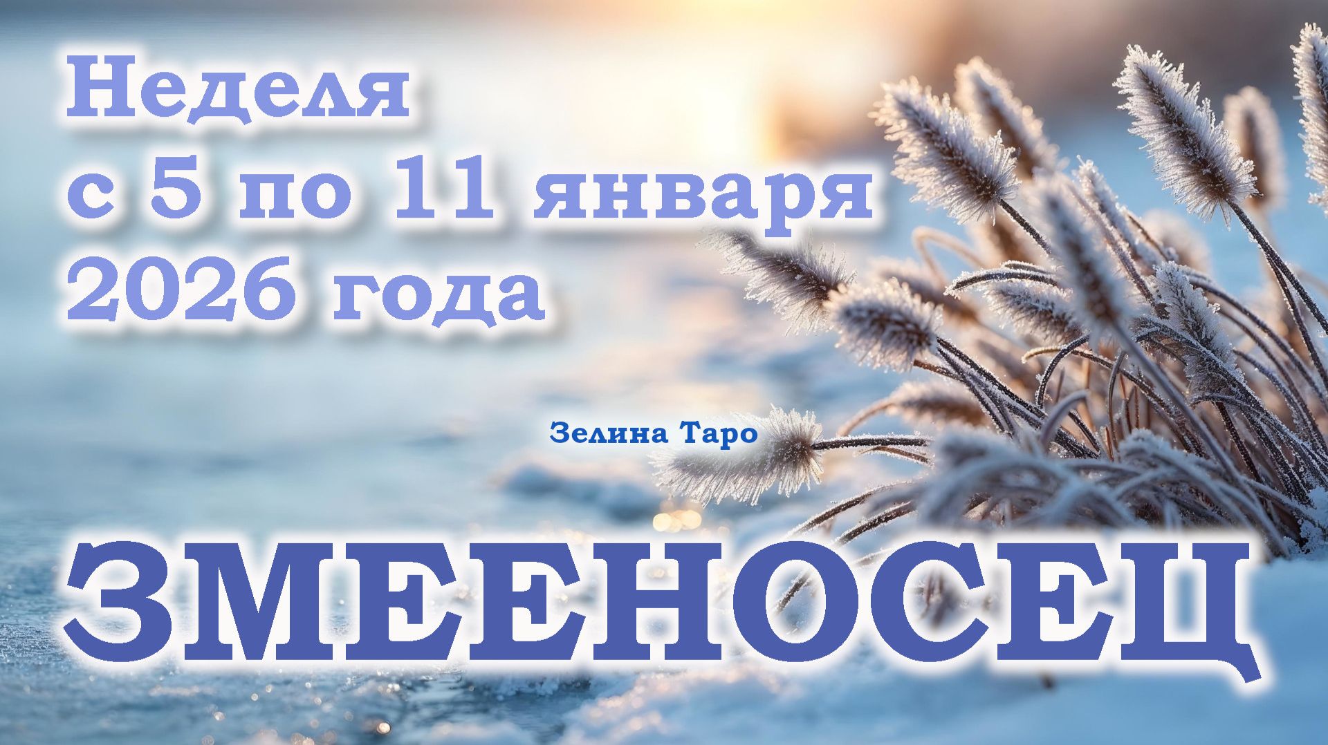 ЗМЕЕНОСЕЦ | ТАРО прогноз на неделю с 5 по 11 января 2026 года