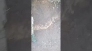 СВО Сборник со всех направлений от бойцов РФ