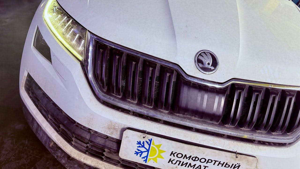 ШКОДА КОДИАК силикагель промывка КАЧЕСТВЕННАЯ ПРОМЫВКА ✅ SKODA KODIAQ СИЛИКАГЕЛЬ ВоЗмОжНо ⁉️и КаК⁉️ смотреть онлайн
