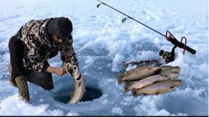 Ловлю много рыбы на замёрзшем озере при -18.