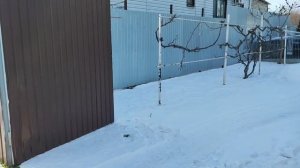 ЗАВАЛИЛИ ПОДАРКАМИ/А ТЕПЕРЬ ПРИШЛО ВРЕМЯ УЕЗЖАТЬ/ ТАК НОВЫЙ ГОД МЫ ЕЩЕ ТУТ НЕ ВСТРЕЧАЛИ/ Я СЧАСТЛИВА