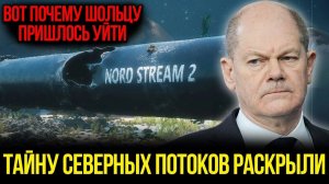 Главная химера Европы: Кто на самом деле стоит за диверсией на «Северных потоках»?