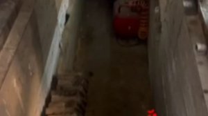 Preview 2 Моя семейка Stuff V11