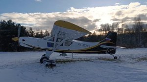 Зимнее пробуждение.