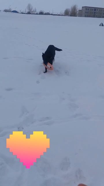 Прогулка 05.01.26  - 2