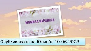 Мимика нарцисса (фрагменты эфира от 10.06.2023)