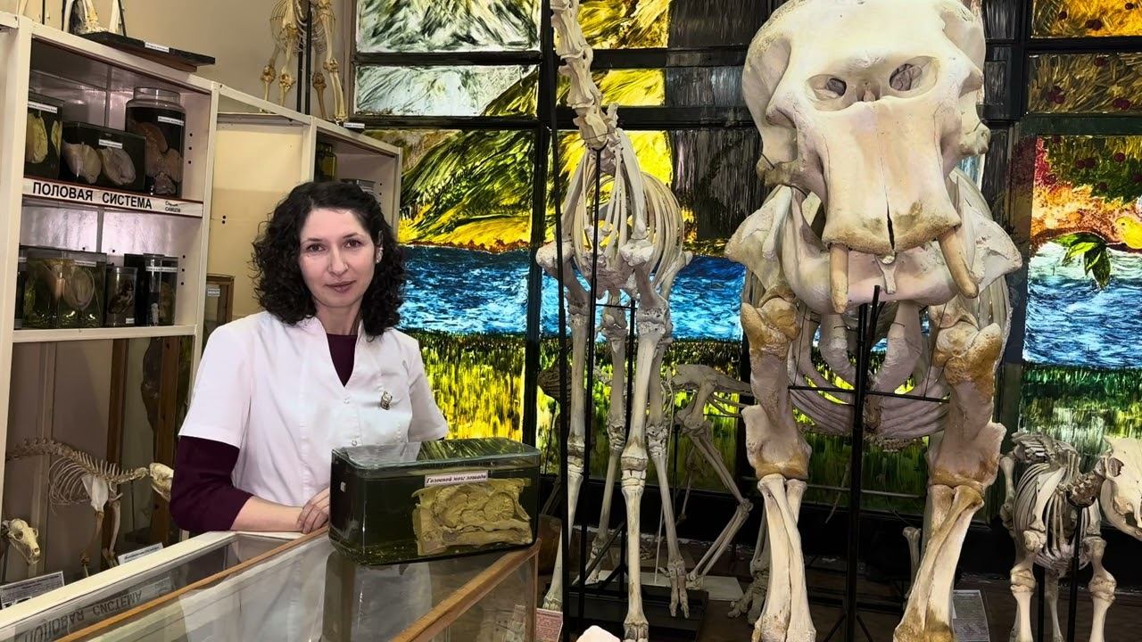 Знакомство)  #anatomy #животные #vet #veterinary #biology