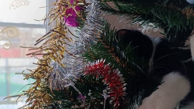 Сам себя взял в плен смотреть онлайн