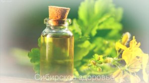 ЦЕЛЕБНЫЕ СЕКРЕТЫ БАБУШКИНОЙ ТРАВЫ