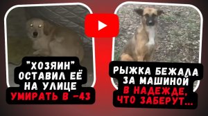 Он уехал в тепло, а её оставил замерзать. Якутск, -43°C #шок