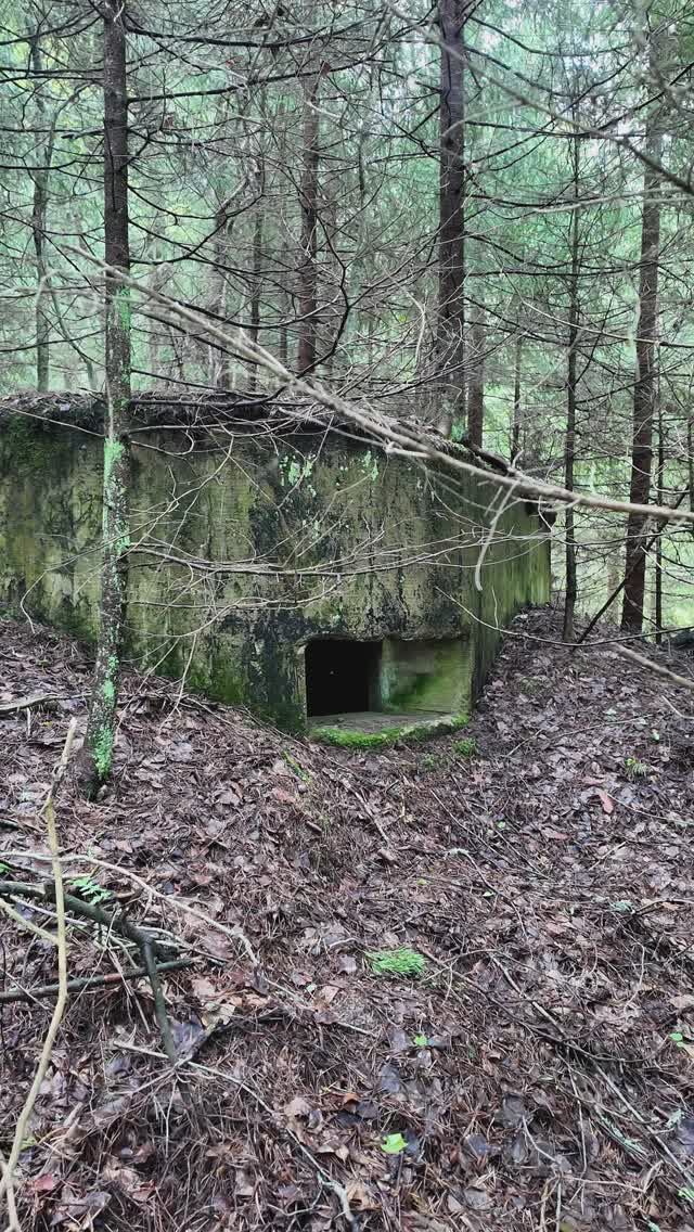 Последний рубеж: ДОТ ИЖ-8 на берегу Финского залива