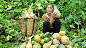 Собираю урожай гигантской тыквы в саду, черную фасоль, и везу на рынок для продажи. Дуонг. Вьетнам