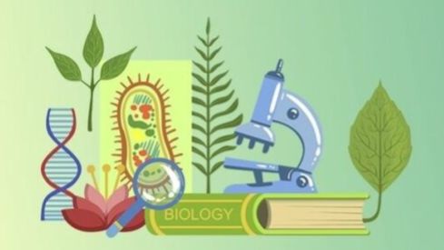 Биология 9 класс. Ассимиляция и диссимиляция. смотреть онлайн