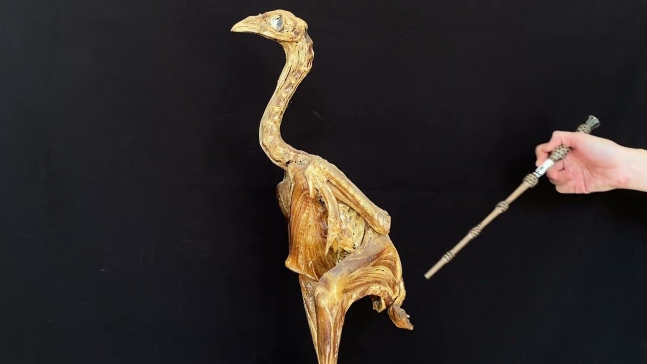 Особенности мускулатуры птиц