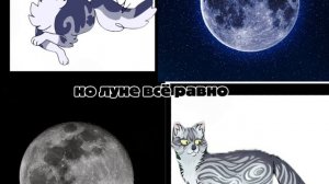 Солнцесвет/Лунница/Вихрегон/ ||Коты-воители||