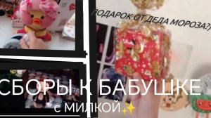 ВЛОГ С МИЛКОЙ!!!  РАСПАКОВКА НОВОГОДНЕГО ПОДАРКА+ СБОРЫ К БАБУШКЕ✨)