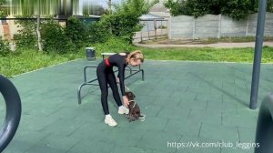 Девушка в обтягивающем на прогулке со своим питомцем.Стиль.Мода и Красота.