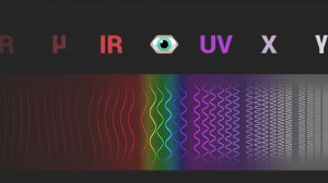 Происхождение электромагнитных волн и причины их необычного поведения