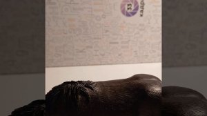 ●♡ Обзор на мою коллекцию фигурок лошадей шляйх и коллекта ●♡