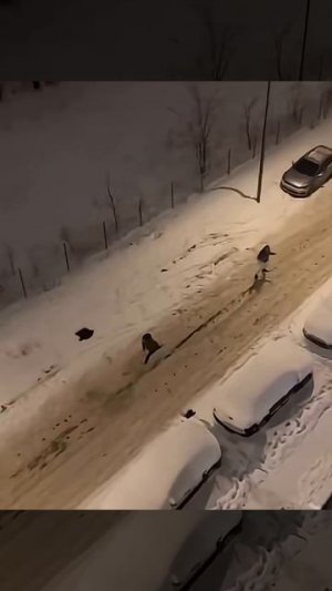 4 января 2026 г.