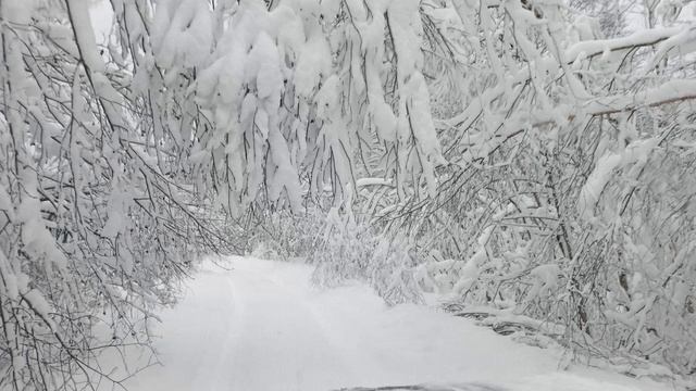 на УАЗе к СНТ Родник