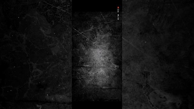 WTF зайчик на телефоне!?