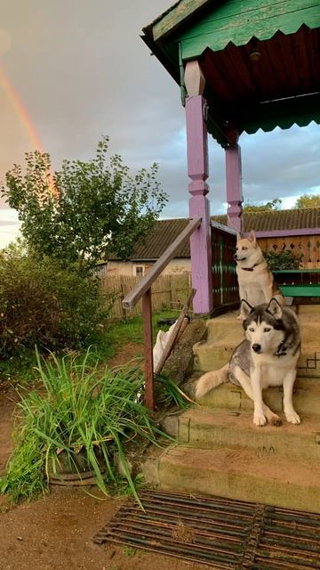 «Два друга» наша авторская песенка смотреть онлайн