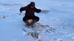 Судак на бокоплавы. votves.ru