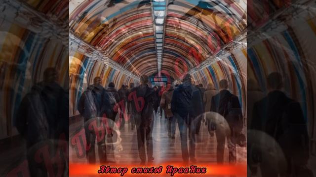 ЧУЖОЙ СРЕДИ СВОИХ