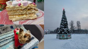 Поездка в г.Луза ,покупки,собираем шкафчик,готовим салат .