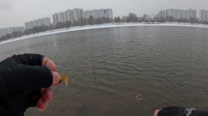 МР, разведка в Марьино, нано-джиг 5 января 2026 года