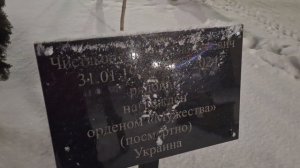 НГ в посёлке Колодезном Воронежская область. Ёлка, Аллея Славы