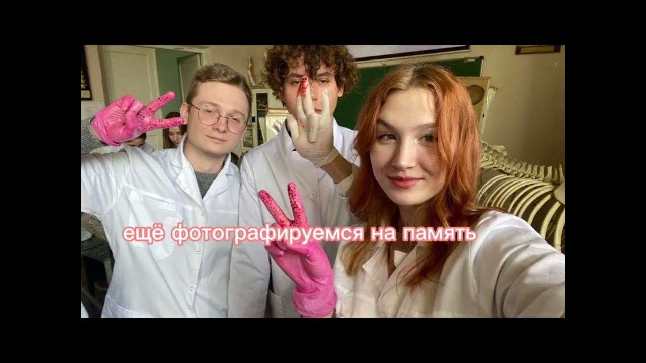 Анатомический кружок)))  #anatomy #животные #vet #veterinary #biology