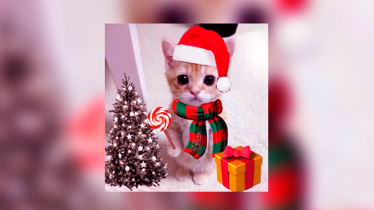 ♡Новый плейлист популярных песен из тик тока 2026♡ (speed up) смотреть онлайн