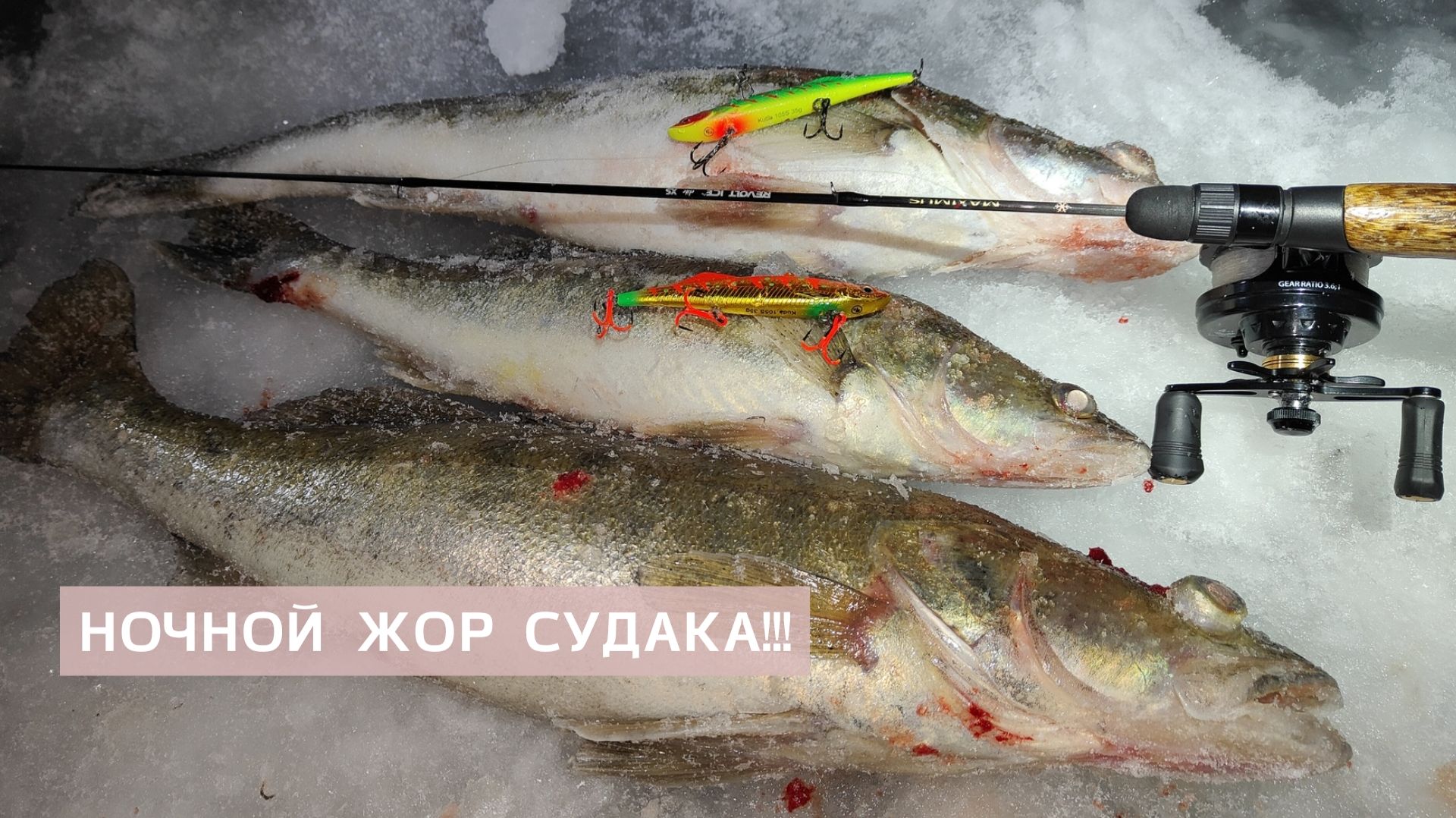 НОЧНОЙ ЖОР СУДАКА! ЭТОТ ВИБ ТВОРИТ ЧУДЕСА!!! ЗИМНЯЯ РЫБАЛКА НА СУДАКА смотреть онлайн