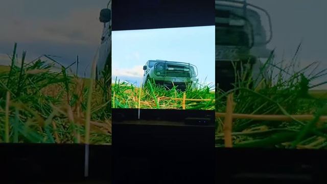 видюу смотреть онлайн