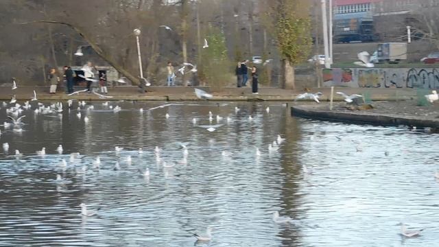 ВИДЕО ПВН ББ (1413) смотреть онлайн