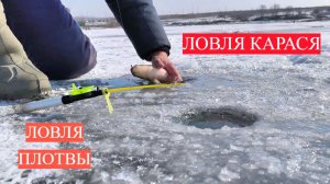 .ТРОФЕЙНАЯ ЗИМНЯЯ РЫБАЛКА! ОГРОМНЫЙ КАРАСЬ! КРУПНАЯ ПЛОТВА! ЖОР ОКУНЯ НА МОРМЫШКУ.