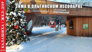 2026 г. Балашиха. Зима в Ольгинском лесопарке.