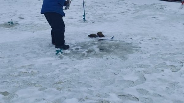 Светлые Горы Форель3 05.01.2026г.