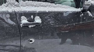 Охотник принял машину за лося и застрелил пассажира авто в Ленобласти