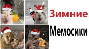 Приколы - Мемы! ПРАЗДНИКИ ПРОДОЛЖАЮТСЯ! Смешные видео - Доми шоу