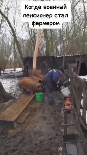 Военный пенсионер фермер