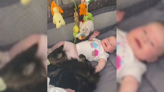 Кошки и малыши....Мило... смотреть онлайн