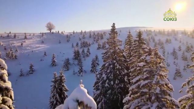 Стихи над миром. Стихотворения Зинаиды Миркиной смотреть онлайн