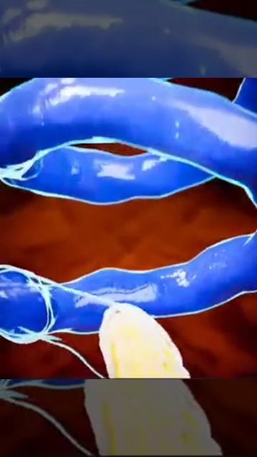 What part of the chicken does an egg come from? смотреть онлайн