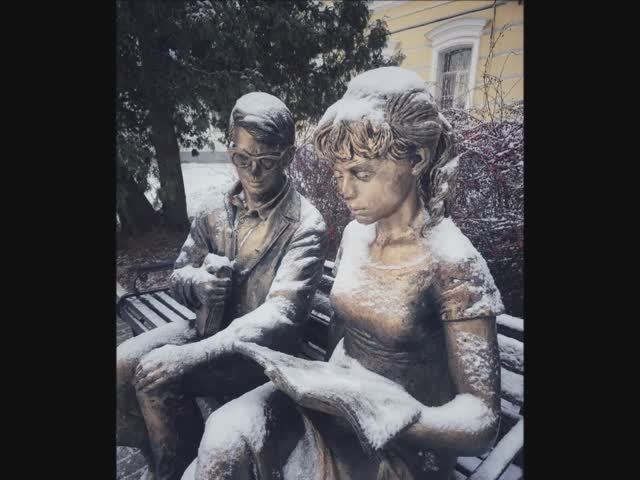 "ИЗ ЗИМНИХ СНОВИДЕНИЙ ЕЛЕНЫ БЕЖИНОЙ" (Рязань), музыка Максима МУРЗИНА (Narcotic Chill) смотреть онлайн